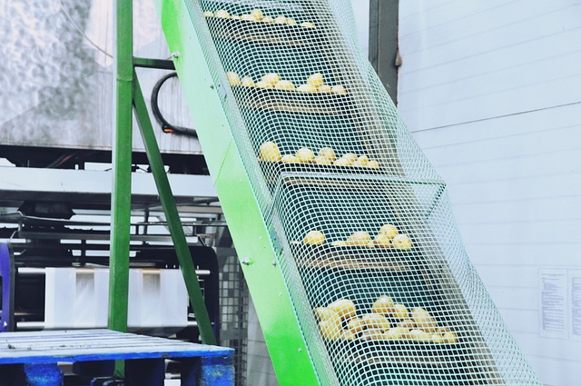 Pelatrice per patate e barbabietole