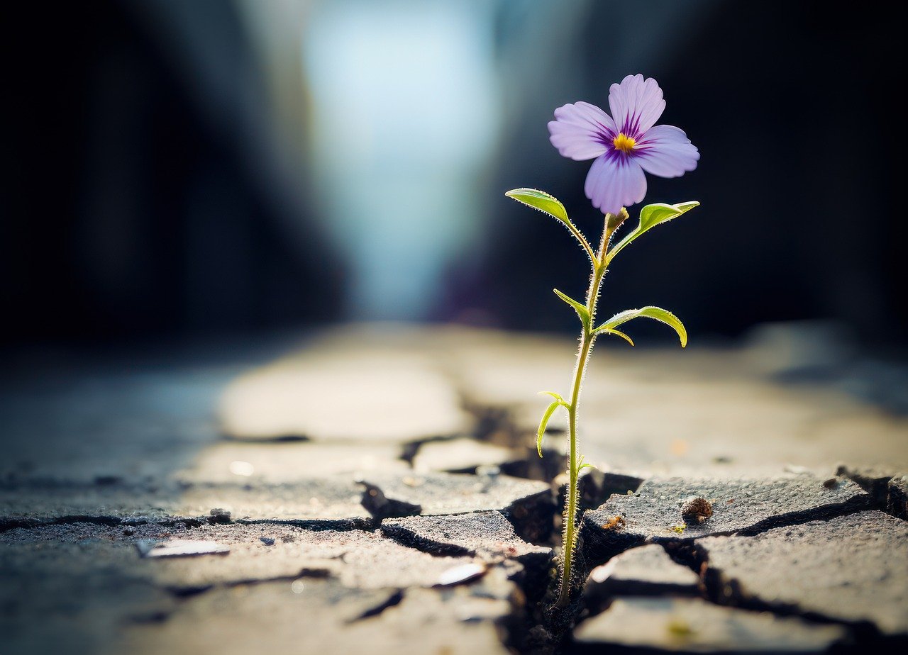 Resilienza delle comunità