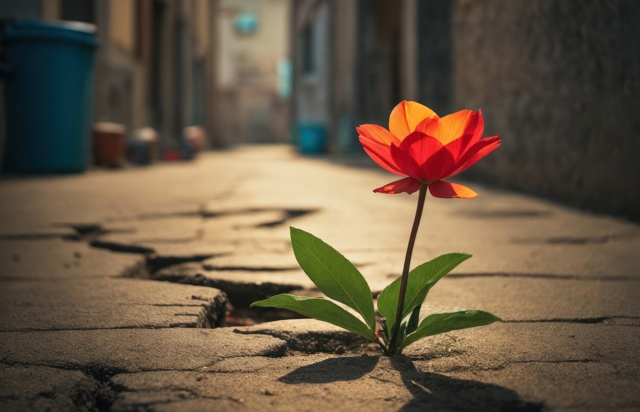 Resilienza delle comunità