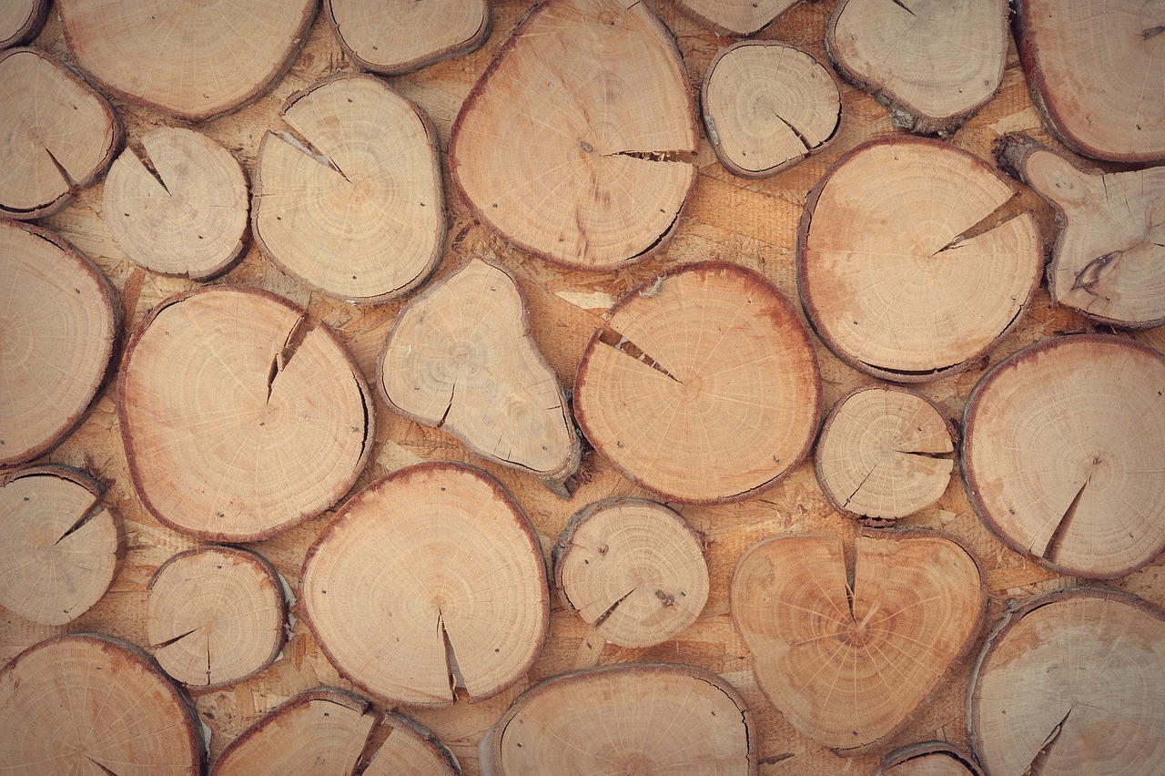 Scatole di legno