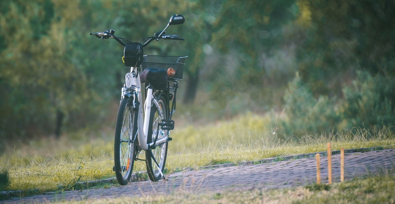 Bici elettriche