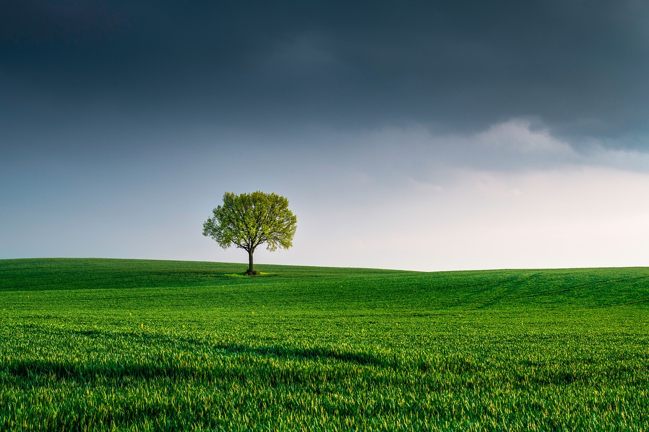 Cambiamenti climatici